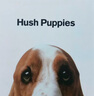 暇步士（Hush Puppies）男士皮帶針扣經(jīng)典復(fù)古潮流休閑百搭青年褲腰帶生日禮物送男朋友 曬單實拍圖
