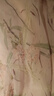 MAXRIENY粉彩百合連衣裙收腰x型2025春季新款氛圍感淺藕色長(zhǎng)裙 淺藕粉 M 曬單實(shí)拍圖