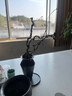 九土家居擺設干樹(shù)枝禪意插花干枝中式花藝客廳餐廳裝飾文藝擺件樹(shù)枝 寫(xiě)意枯枝【 約80-100cm】 曬單實(shí)拍圖