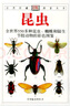 （絕版舊書(shū)） 自然珍藏圖鑒叢書(shū) 昆蟲(chóng) [英] 麥加文 著(zhù),王琛柱 譯 中國友誼出版公司  單冊 曬單實(shí)拍圖