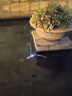 遙控鯊魚(yú)玩具高級黑科技可潛水男孩仿真巨齒大白鯊六一兒童節禮物 遙控藍色噴水鯊魚(yú) 曬單實(shí)拍圖