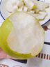 碭山梨子正宗翠冠梨當(dāng)季水果新鮮9斤皮青梨皇酥梨整箱應(yīng)香梨雪梨 9斤 【大果250g+】碭山直發(fā)脆甜多汁 曬單實(shí)拍圖