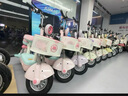 愛瑪（AIMA）【門店自提】Q5新國標(biāo)時(shí)尚鉛酸成人電動自行車電瓶車助力車 到店選色提車 曬單實(shí)拍圖