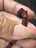 繁奢小葉紫檀項鏈掛脖珠鏈木珠木質(zhì)吊墜掛繩男款沉木脖子和田玉 周長60CM 曬單實拍圖