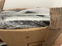 ZOCI適用于日產新天籟軒逸經典陽光騏達白色金紅色汽車專用烤漆擋泥板 20-24款新軒逸【珠光白】加厚款 曬單實拍圖