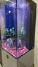 漢霸2025新款魚(yú)缸客廳家用底濾小型超白玻璃造景水族箱智能落地 水泥灰【底濾*到手就養(yǎng)魚(yú)】 40x40x125cm 曬單實(shí)拍圖