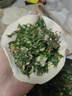 樂扣樂扣兒童餐盤316不銹鋼分格盤寶寶專用輔食盤幼兒園分餐盤打飯餐具 曬單實(shí)拍圖