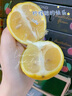 小博農(nóng)場四川安岳黃檸檬 新鮮皮薄多汁鮮檸檬小青檸新鮮水果泡茶切片 10個 單果60-80g 曬單實拍圖