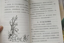 怪老頭兒 兒童文學(xué)名家經(jīng)典書系 曹文軒推薦 孫幼軍著作 三四五六年級語文教材推薦課外書目 中小學(xué)生課外閱讀經(jīng)典叢書 曬單實拍圖