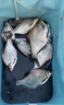 川澤免拆輪大肚竿包路亞漁具魚(yú)包多功能大容量輕便防水碳紋路滑竿包 120cm碳纖紋PU大肚包 【輕便防水免拆輪】 曬單實(shí)拍圖