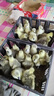 潮汕獅頭鵝苗正宗一斤汕頭小獅頭鵝活苗特大種純種獅頭鵝成年幼苗 拍15送5只路損【共20只3兩左右】 曬單實拍圖