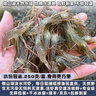 云映漁舟 微山湖淡水小河蝦（活凍）生態(tài)新鮮青蝦草蝦醉蝦鮮活清水小明蝦 中號（4-6cm） 500g(凈重) 曬單實(shí)拍圖
