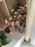 范爺家輕奢不規(guī)則花瓶高級感擺件客廳插花玻璃透明水養(yǎng)玫瑰鮮花小眾簡約 曬單實拍圖