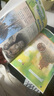 2025秋新改版小學4四年級上冊滬教版英語課本上海教育出版社深圳沈陽山西貴陽適用 現(xiàn)貨，新版2025四年級英語上冊課本（彩打版） 四年級上 曬單實拍圖