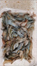 微山湖淡水河蝦小河蝦鮮活急凍青蝦草蝦醉蝦五節(jié)腿 小號河蝦 250g(凈重)  2-3cm 1盒 曬單實拍圖
