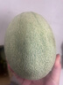 澤華果品山東西州蜜哈密瓜 網(wǎng)紋哈密瓜當(dāng)季新鮮水果整箱 哈密瓜凈重4-5斤1-2個 曬單實拍圖