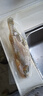 海名威 冷凍黃花魚700g/2條 寧德大黃魚地標 海鮮水產 生鮮魚類  曬單實拍圖