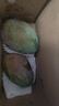 【大臉芒】京喜加四川凱特芒果 帶箱一斤裝200g+ 曬單實拍圖