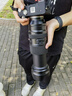 騰龍（Tamron）A067S 50-400mm F/4.5-6.3 Di III VC VXD防抖人像演唱會(huì)超長(zhǎng)焦索尼全畫(huà)幅鏡頭(索尼全幅E口） 曬單實(shí)拍圖