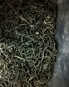 簡小禾2025年新茶 五峰毛尖高山嫩芽春茶栗香綠茶散裝湖北特產(chǎn)送禮 精裝禮盒山水情100g*4盒 曬單實(shí)拍圖