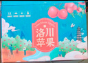 京覓陜西洛川紅富士蘋果 16枚單果250g+ 新鮮水果生鮮應(yīng)季 源頭直發(fā) 曬單實拍圖