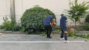 東成汽油割草機(jī)FF03-CXB-1.45KW汽油割灌機(jī)打草機(jī)除草機(jī)斜挎式割草機(jī) 曬單實(shí)拍圖