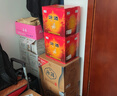 汾酒 玻汾 清香型白酒 口糧酒泡酒整箱裝 53度 475mL 12瓶 黃蓋玻汾原箱裝 曬單實拍圖