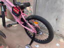 鳳凰（PHOENIX）兒童自行車男女孩6-8-10-12歲中大童小孩雙碟剎山地學(xué)生單車 珍珠粉-98%免安裝-雙碟剎減震-腳 18英寸 曬單實拍圖