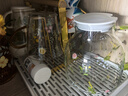 摩登主婦小枝蕁玻璃杯耐高溫果汁牛奶杯高顏值喝水杯2025新款杯子 小枝蕁玻璃把杯400ml-綠色 曬單實(shí)拍圖