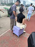 喆優(yōu)買菜小拉車家用輕便攜折疊購物車買菜拉桿拖車快遞小推車?yán)浡稜I 紫【大號道路輪】磁吸蓋+寬拉桿 曬單實(shí)拍圖