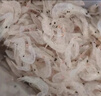 弘品匯 淡干熟蝦皮 凈重200g 大號精品蝦米蝦皮蛋花湯調味食材 源頭直發(fā) 曬單實拍圖