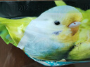 花卷寶寶蘇子鳥食新白蘇子鳥糧鸚鵡玉鳥黃雀薄皮軟蘇子500克 1斤 曬單實拍圖