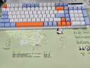 方正（Founder）K450鍵盤三拼升級(jí)版  機(jī)械手感游戲電競(jìng)筆記本臺(tái)式電腦外設(shè) 全尺寸有線單鍵盤【藍(lán)色】 曬單實(shí)拍圖