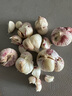 辰實【新干蒜】新鮮紫皮大蒜 云南獨頭蒜三瓣蒜 大蒜農(nóng)家蔬菜臘八蒜 5斤（三瓣蒜） 曬單實拍圖