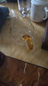 一品工坊臺灣公道杯高硼硅玻璃公杯純手工加厚大號分茶器茶海茶道茶具配件 黃把400ML 曬單實(shí)拍圖