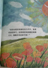 飛翔的小雞成長(zhǎng)教育繪本 3-6歲兒童好習(xí)慣養(yǎng)成語(yǔ)言啟蒙安全教育性教育童話故事幼兒睡前故事書(shū) 語(yǔ)言和創(chuàng)造力【20冊(cè)】 曬單實(shí)拍圖