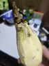 雞蛋黃板栗紅薯正宗廣東潮汕現(xiàn)挖現(xiàn)發(fā)鮮香甜粉糯白皮黃心番薯地瓜 中果 5斤 曬單實拍圖