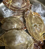 舟山梭子蟹鮮活特大野生大螃蟹新鮮冷凍海鮮水產(chǎn)海蟹飛蟹白蟹順豐 7-9兩/只【5斤凈重 特大肥壯】 曬單實拍圖