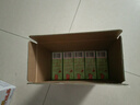王老吉涼茶250ml*24盒綠盒裝 AI盲盒整箱中華老字號（新老隨機發(fā)貨） 曬單實拍圖