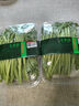 北菜園有機(jī)蒿子稈茼蒿250g新鮮有機(jī)蔬菜【進(jìn)店多樣加購(gòu)】火鍋涮菜 曬單實(shí)拍圖