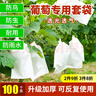 曇蓓漫葡萄套袋露天葡萄專(zhuān)用袋育果袋防蟲(chóng)防水防菌水果網(wǎng)袋紙袋套果袋 【22*32cm/2斤內使用】葡萄套袋 100個(gè)裝丨升級加厚丨可反復使用 曬單實(shí)拍圖