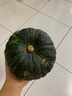 粵迎山東貝貝南瓜板栗口感源頭直發(fā)香甜兒童輔食美味粗糧新鮮蔬菜生鮮 5斤 精選裝【香甜粉糯】凈4.5斤 曬單實拍圖