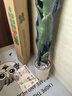 植男植女發(fā)財樹招錢樹天堂鳥金錢樹幸福樹白掌大綠植室內(nèi)辦公室客廳綠植 【天堂鳥】1.4-1.6M 白色圓柱形雙層樹脂盆 曬單實拍圖