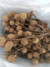 千里饞龍眼新鮮桂園水果桂圓儲良石峽古山龍眼5斤桂圓甜桂圓整箱批發(fā) 3斤老樹甄選裝【凈重2.5斤】 曬單實拍圖