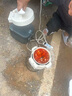 華凌美的出品【國家補貼】電壓力鍋4L 多功能高壓鍋不粘內(nèi)膽飯煲煮鍋開蓋火鍋10大菜單WH-YL4901E 曬單實拍圖
