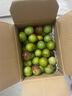 京覓四川茵紅李脫骨李3斤裝 單果15g+小脆紅李子青紅脆李水果源頭直發(fā) 曬單實(shí)拍圖