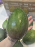 京鮮生 攀枝花凱特芒 凈重8.5斤 帶箱9斤 單果600g+ 生鮮水果 源頭直發(fā) 曬單實拍圖