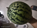 正宗黑籽麒麟西瓜應(yīng)季新鮮水果新鮮現(xiàn)摘沙瓤薄皮麒麟瓜 麒麟西瓜 5-7斤 1枚裝 曬單實拍圖