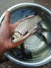 川澤子線雙鉤狼牙魚鉤競(jìng)技黑坑防纏繞魚鉤綁好套裝釣魚鉤成品全套漁具 競(jìng)技狼牙【細(xì)條】鉤8;線1.0-1.2 20付成品套裝 曬單實(shí)拍圖