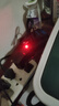 無(wú)刷電鏈鋸鋰電鋸充電鋸手提式戶(hù)外無(wú)線(xiàn)小型伐木單手鋸砍樹(shù)修枝鋸 4寸鋰電鋸+1電1鏈+基礎款 曬單實(shí)拍圖